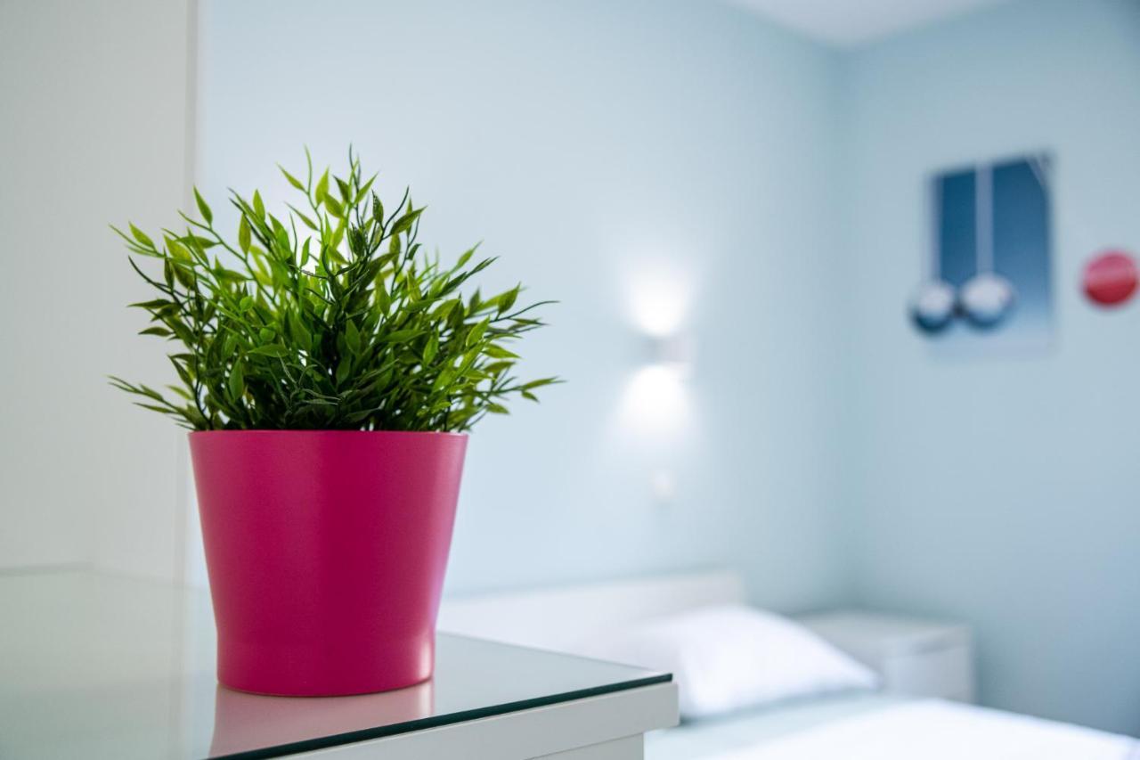 Colibri Central Apartment 瓦爾納 外观 照片